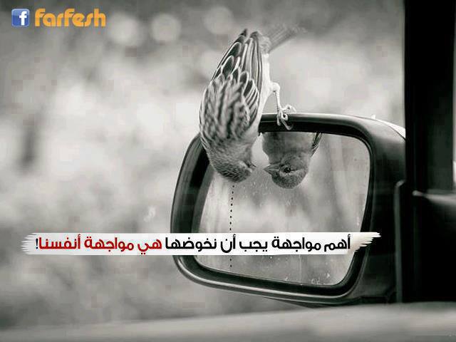 ������ �����