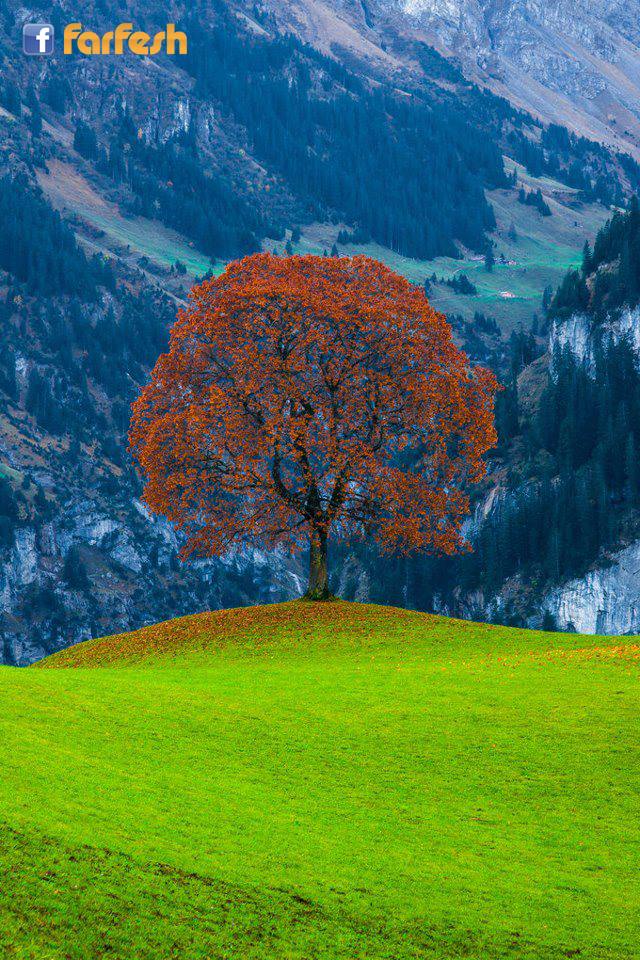 ������ ����� �� ���� ����� �� ������ . .