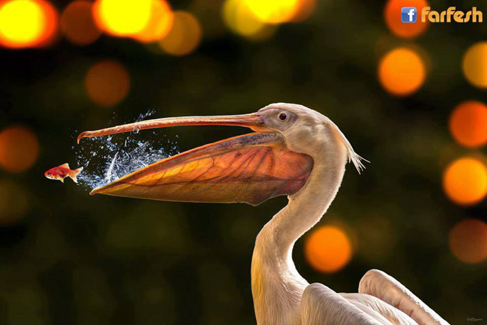  ������ �������� �� ����� ������� 