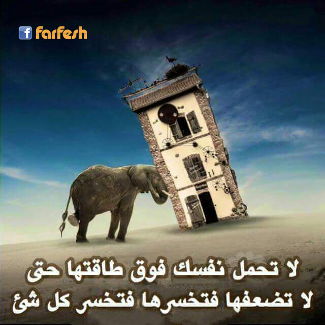 �� ���� ���� ��� ������