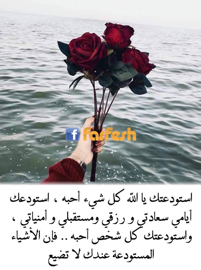 ������� �� ���� ������ ����� ��������