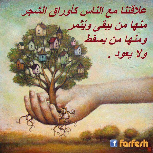 ����� ����� ���� ����� ����� �����