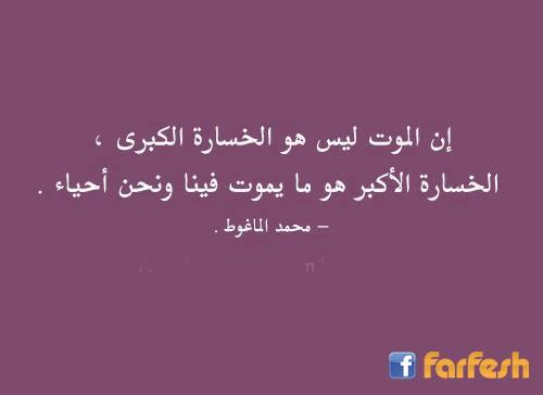 ���� ����� ���