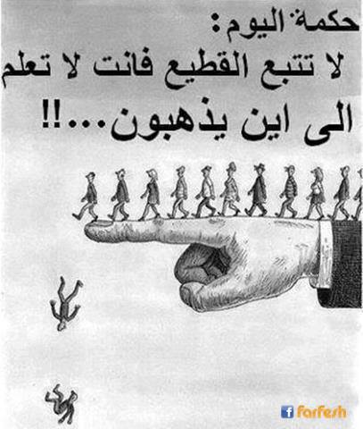 ���� �����