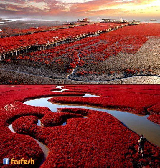 ������ ������ � ������ - �����