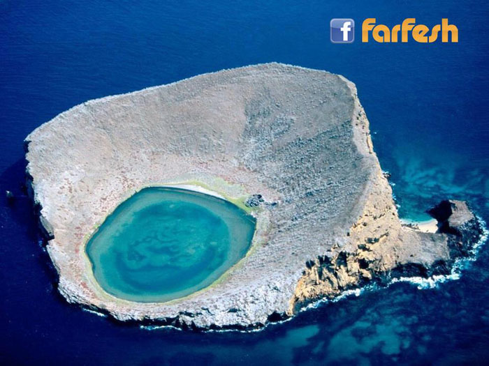 ����� ������� ������� bright blue eye 