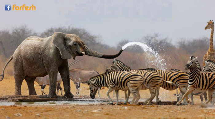 ���� ������ ��� ��������� .. ���� ��� ����