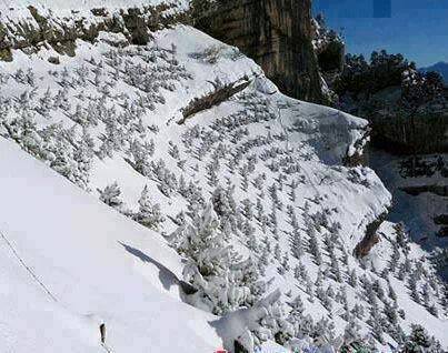 �� ���� ����� ���� ����� ��