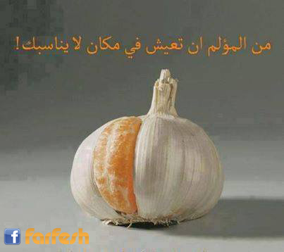 �� ������ �� ���� �� ���� �� ������