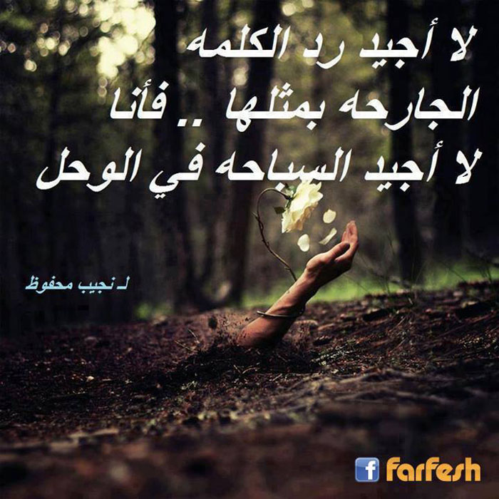 ����� ����� ���� �� ������ �����