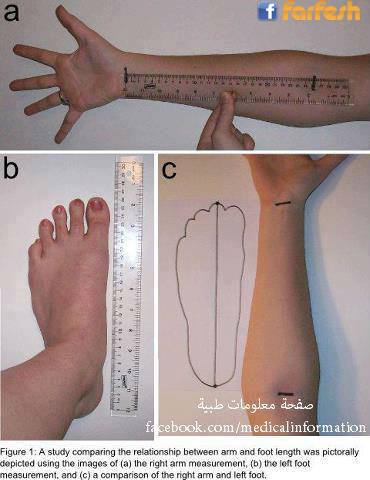 ������ �����! ��� ����� ����� ���� ���� !!