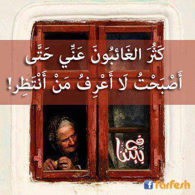 �������� ���