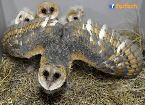 ���� ����� ����� ����� ��� ����� �� ����� .