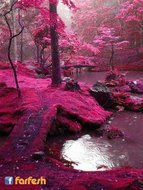 ����� ������ �� �������