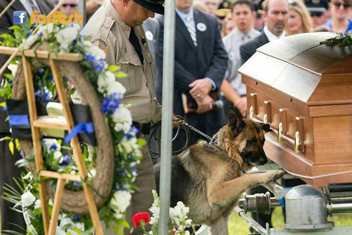 ��� ��� ����� �� ����� ��� ����� ������ ������� �� ����� 