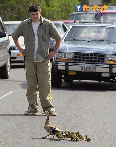 ��� ���� ��� �������� �� ��� �� ���� ��� ������ ������� ?