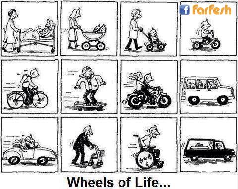 ������ ���� ���� .