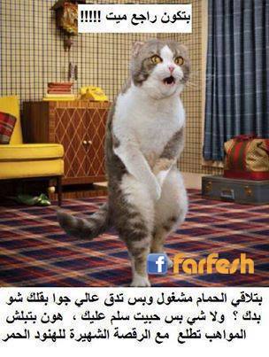 ������ ��� !!!:-)