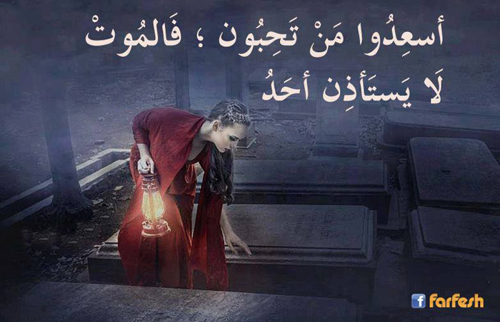 ������ �� ����� ������ �������� ���