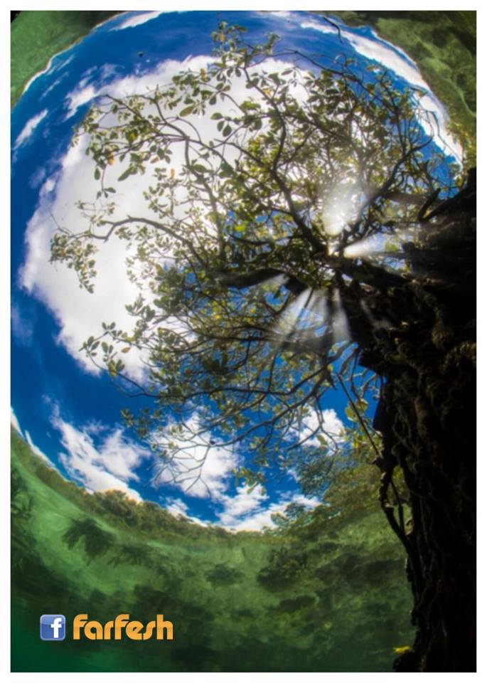 ���� ������ ������ �� ��� �����