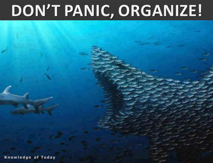 ����� ����� ������ ��������