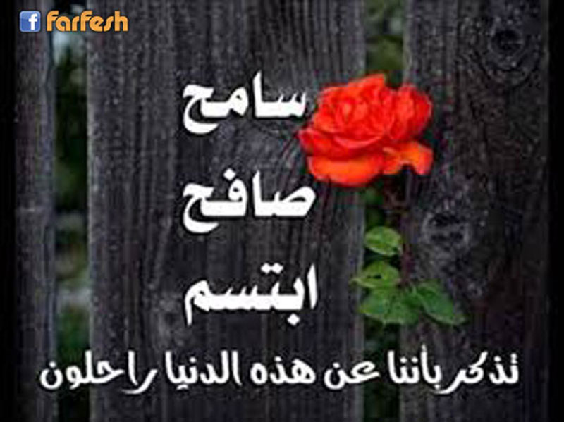 ���� ��� ���� ������ �� ������ �������