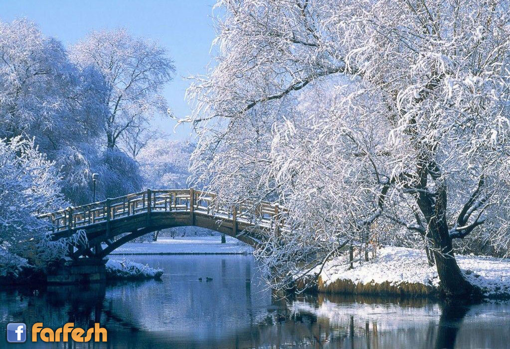 ���� ������ ������ ������� �������