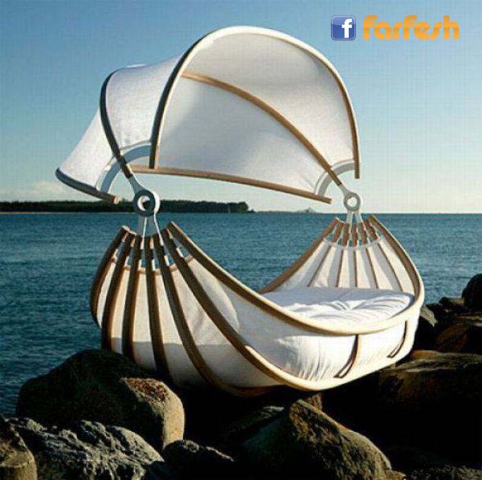 ���� ��������