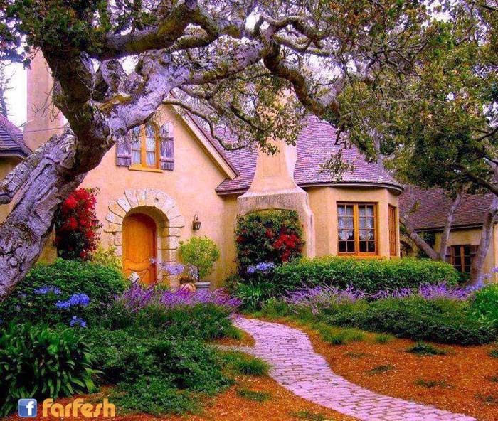 ��� ��� �� �������