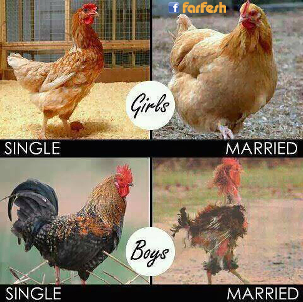 �� ���� ����� ������