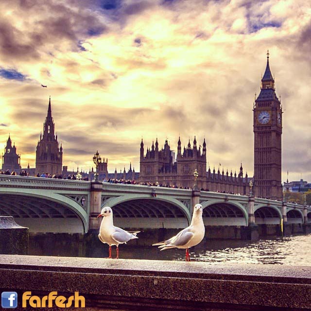 ���� ����