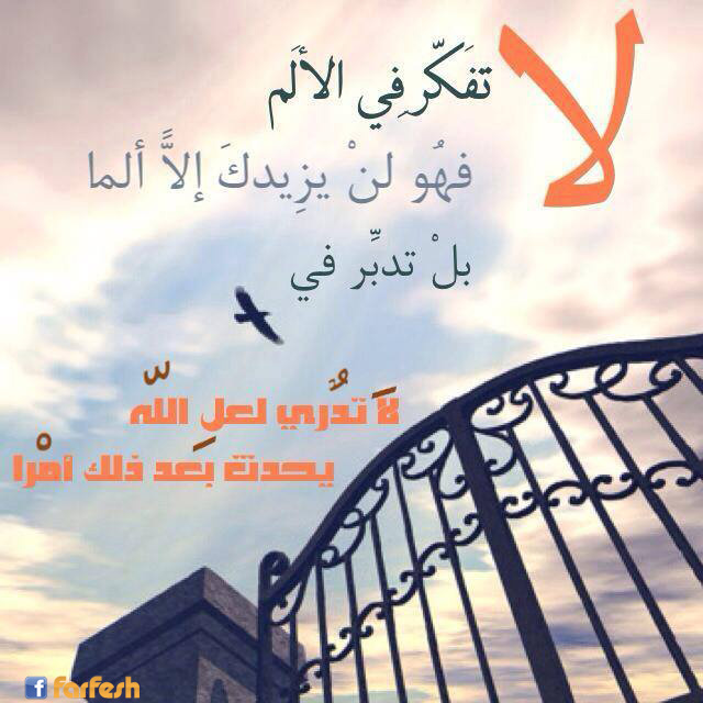 �� ���� �� �����