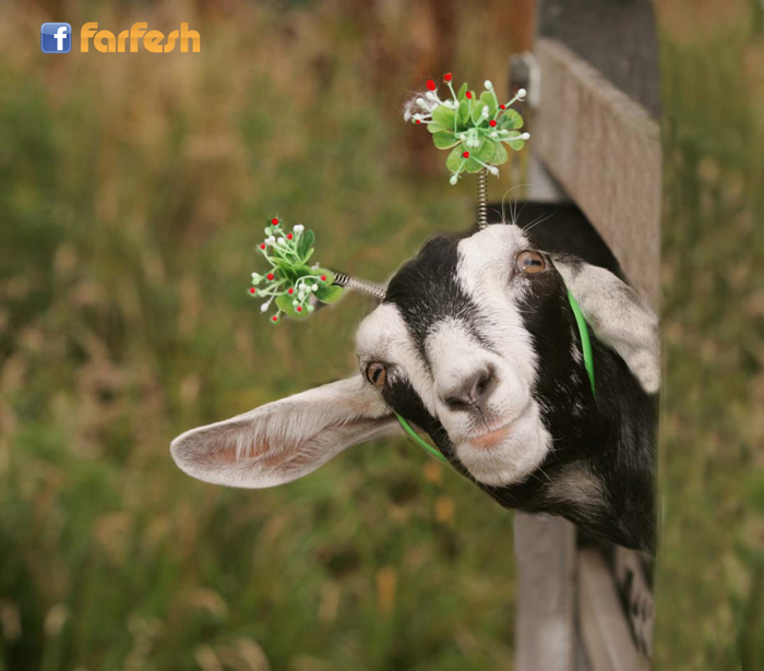 ����� �� �����