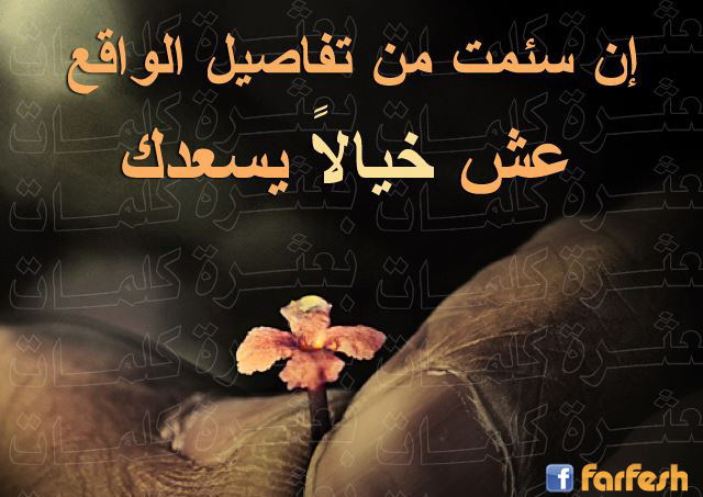 ��� ����� �����