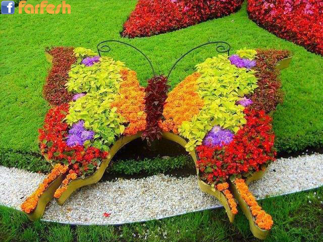 ���� ������� �� ������