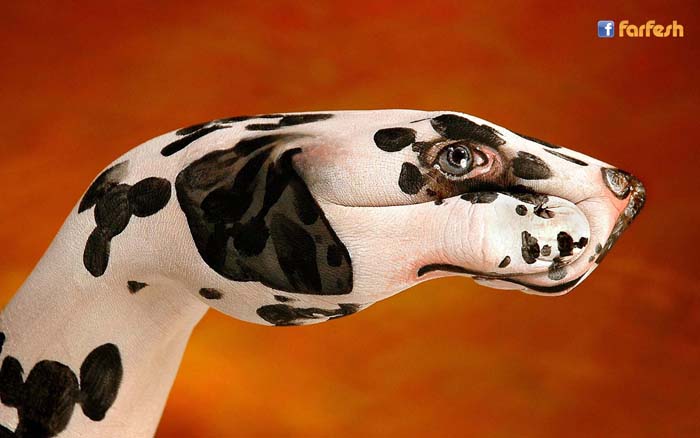 ���� ��� ��� ��� �����