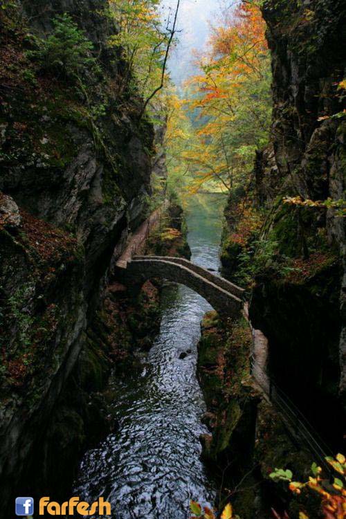 ���� ����� �������