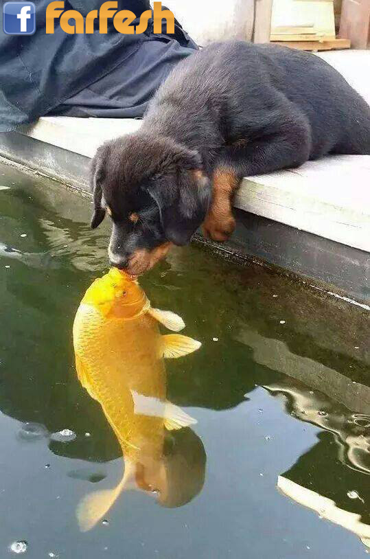 ���� �� �� ��� ���� ����� ��� ����