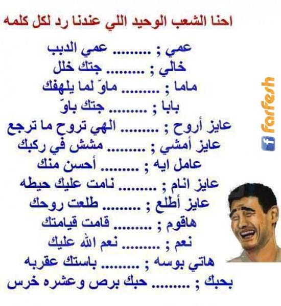 ���� ����� ������