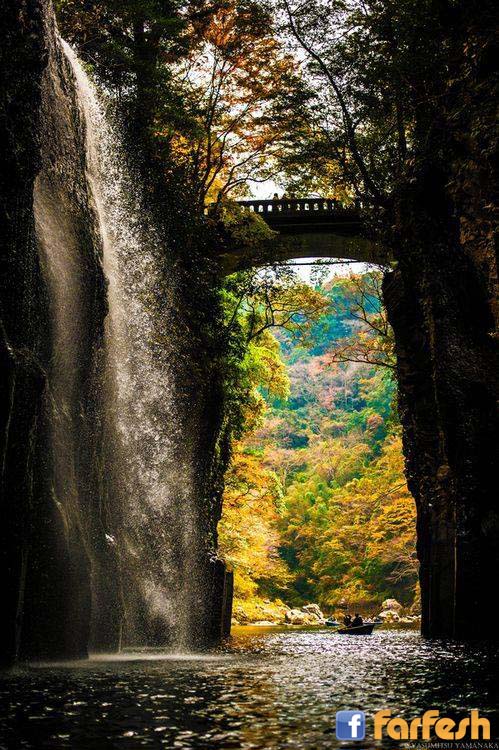 ���� �����