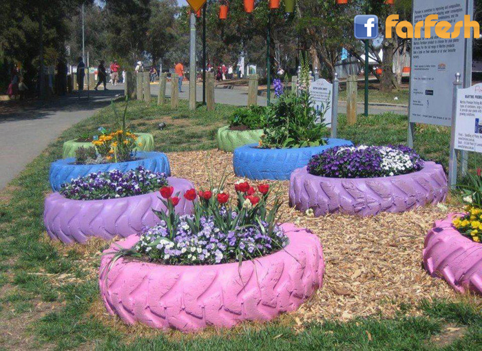 ���� �������� �������