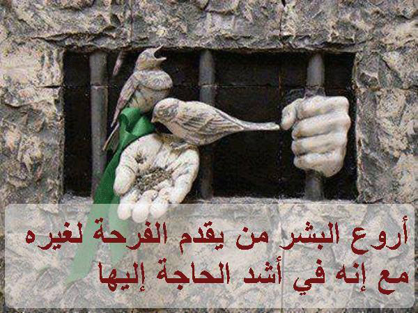 ������ ��� ���