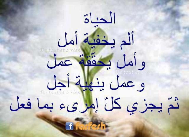 ��� ����� ����