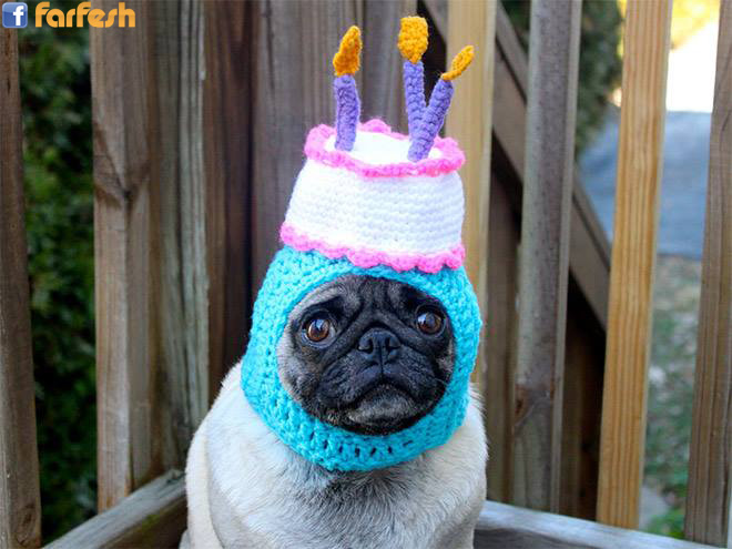 ���� ���� ������