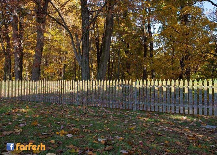 ���� ������