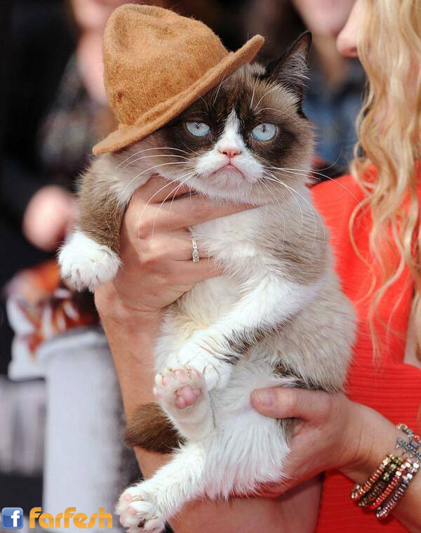 �� ���� �����