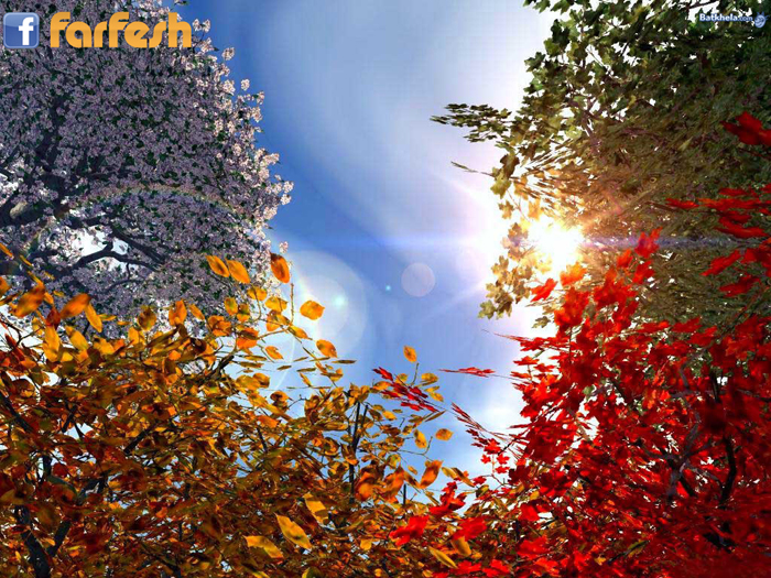 ����� ������