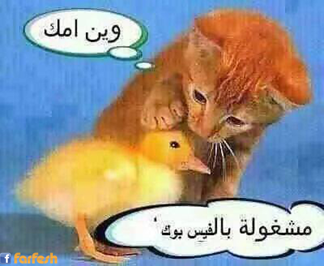 ����� ��� �����