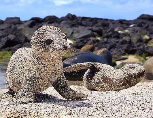 ��� ���� �� ���� ������