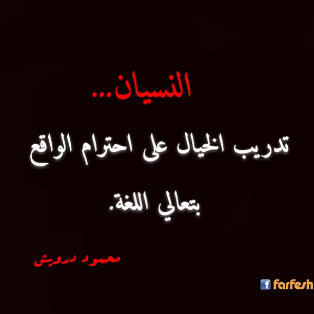 ���� �������